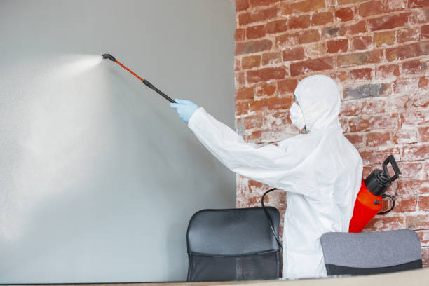 Best Industrial Mold Remediation  in Kutztown University, PA